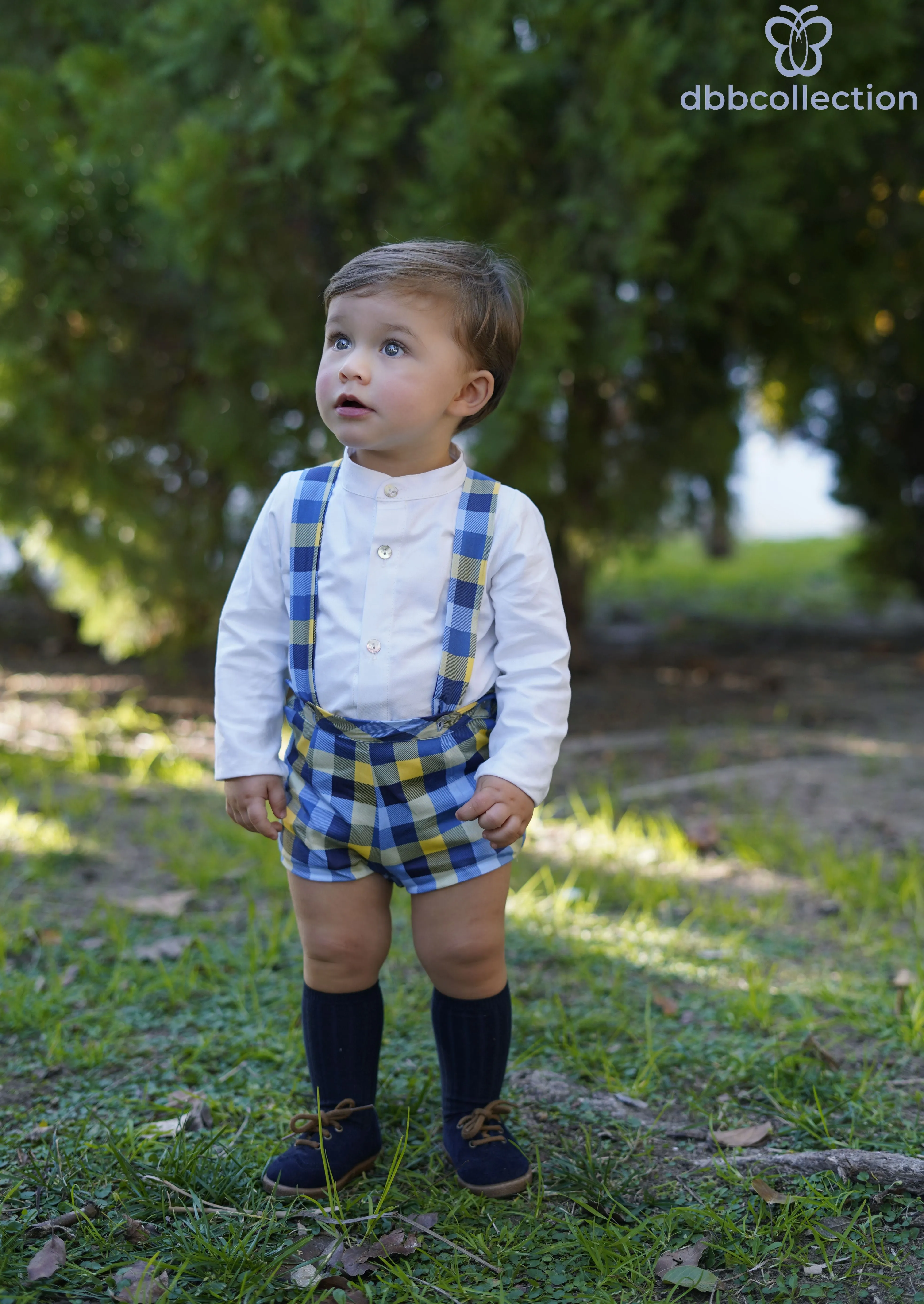 DBB Collection AW24 - Boys Blue, Yellow & White Check Shorts & Matching Shirt